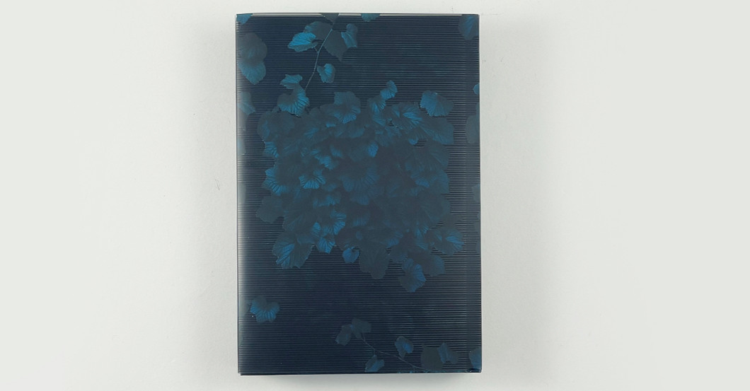  DV Fitzek Der Nachbar 