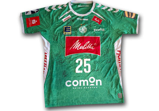  DV GWD Nyfjäll Trikot 