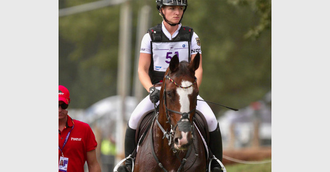 DV Krajewski Kinoevent   DV Krajewski Kinoevent