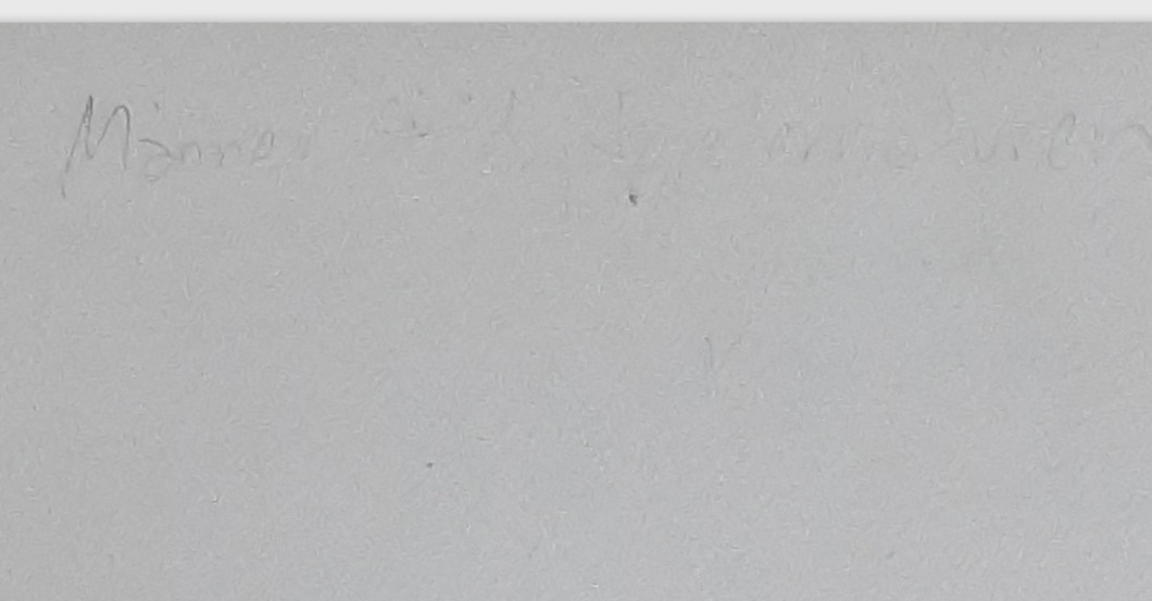 DV Rauschenbach Cartoon 3   DV Rauschenbach Cartoon 3