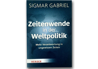  DV Sigmar Gabriel Buch 