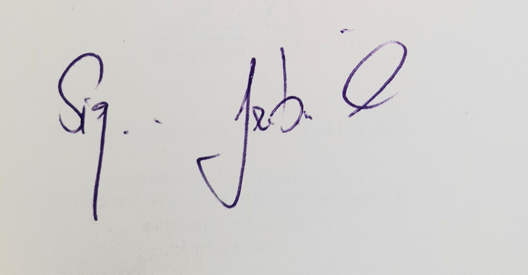 DV Sigmar Gabriel Buch   DV Sigmar Gabriel Buch