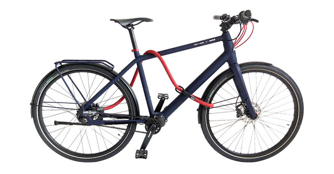 E Bike und Schloss   E Bike und Schloss