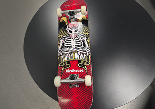  EHfK Tony Hawk Board 