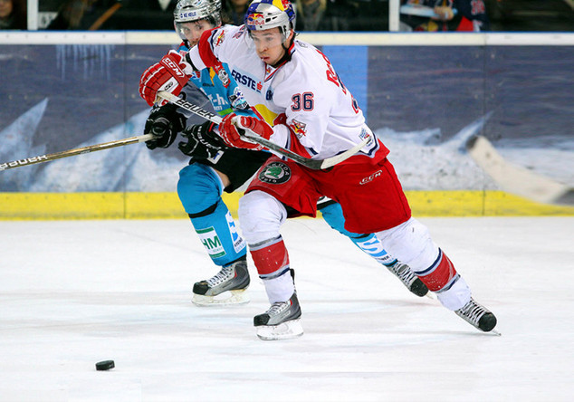  Eishockeytrikot Pewal 