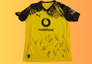  EKKL BVB Team Trikot 