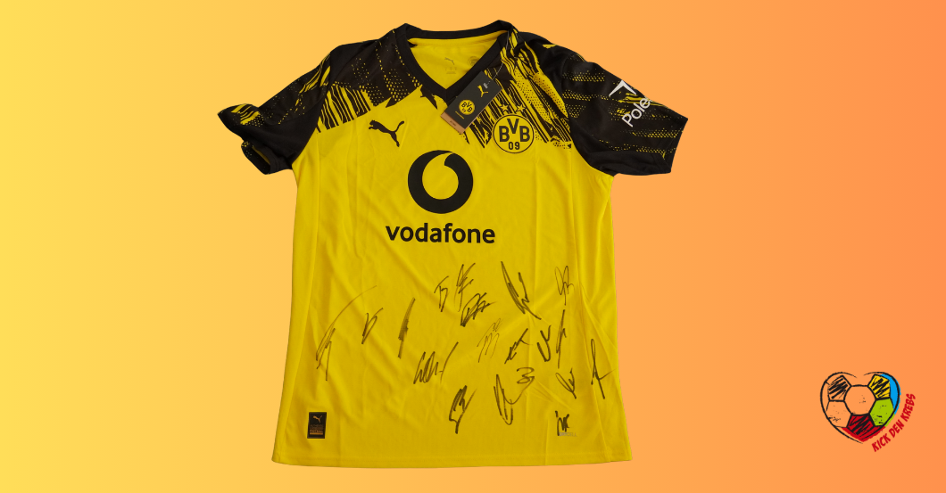  EKKL BVB Team Trikot 