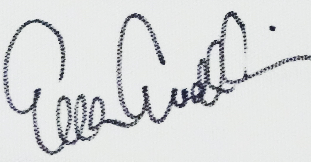 Ella Endlich Tasche   Ella Endlich Tasche