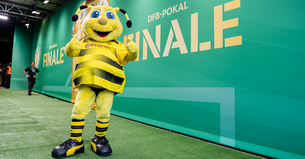  EMMA Pokalsieg Trikot 