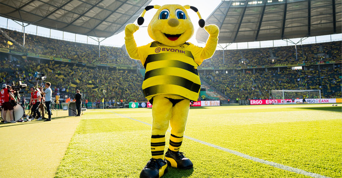  EMMA Pokalsieg Trikot 