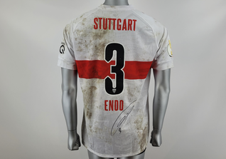  Endo Pokaltrikot 