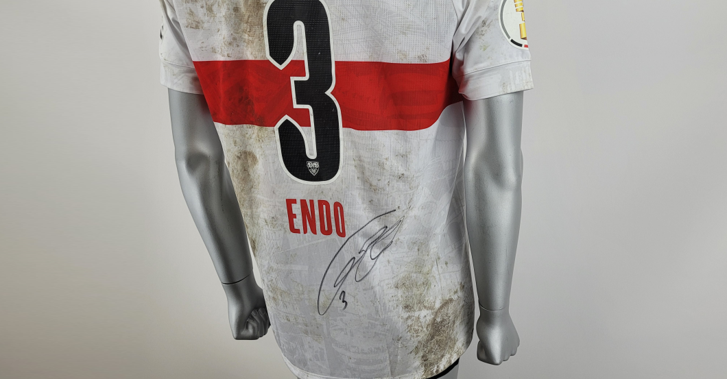  Endo Pokaltrikot 