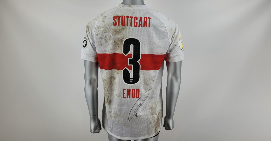  Endo Pokaltrikot 