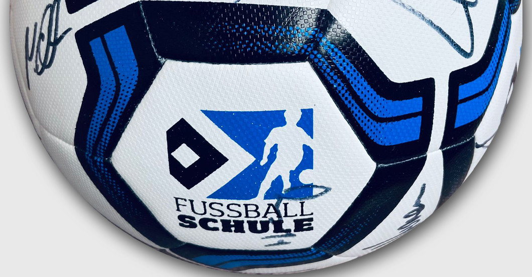  EW HSV Trikot Ball 