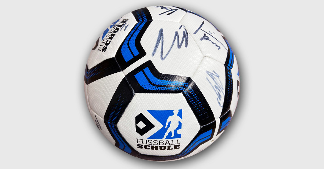 EW HSV Trikot Ball 