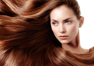 Extensions Gutschein Extensions Gutschein
