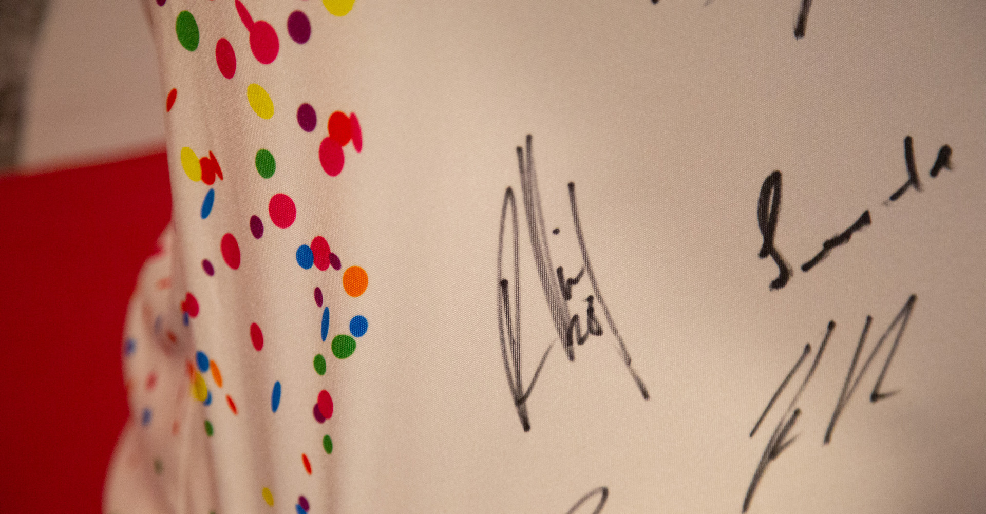 F95 Aufwärmtrikot 3   F95 Aufwärmtrikot 3