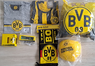  Fanpaket BVB 