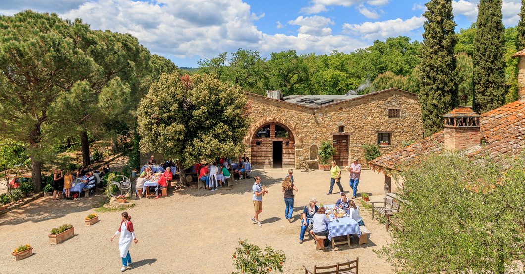 Fattoria La Vialla   Fattoria La Vialla