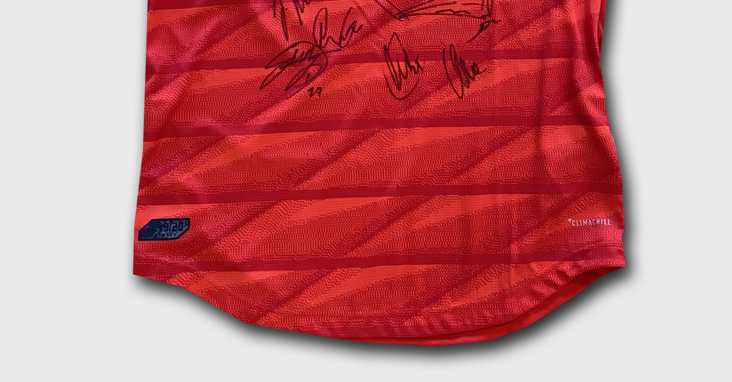 FC Bayern Spielertrikot   FC Bayern Spielertrikot