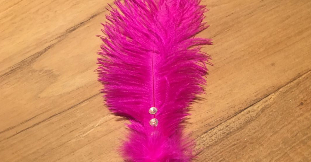 Feder Kugelschreiber   Feder Kugelschreiber