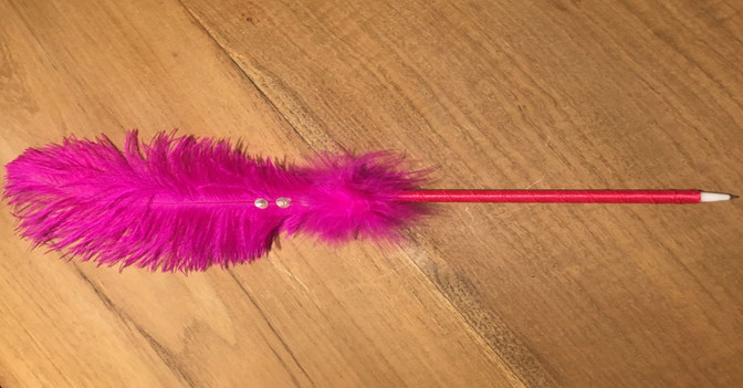 Feder Kugelschreiber   Feder Kugelschreiber