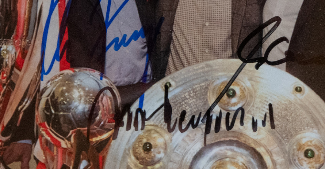  FH Bayern Triple Bild 