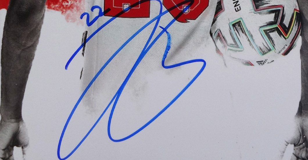 FH Bellingham Porträt   FH Bellingham Porträt