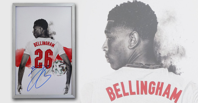 FH Bellingham Porträt   FH Bellingham Porträt