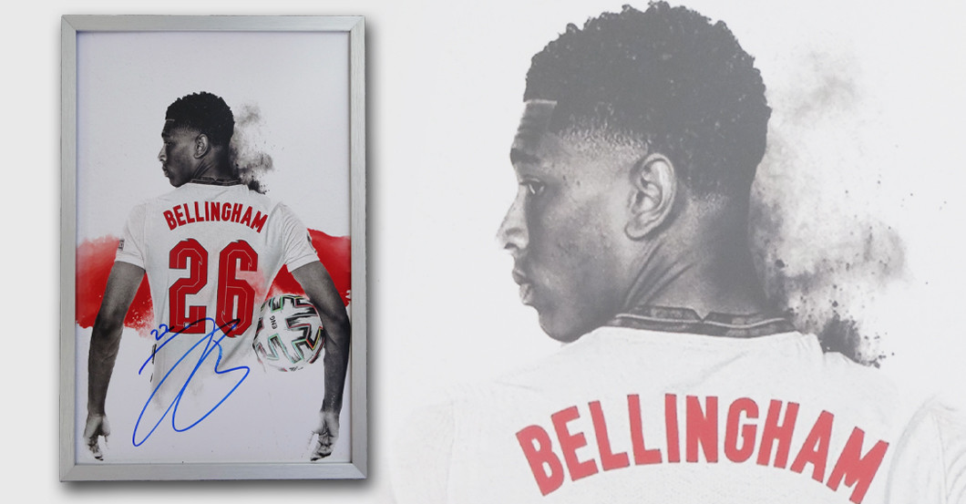 FH Bellingham Porträt   FH Bellingham Porträt