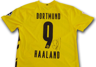  FH Haaland BVB 