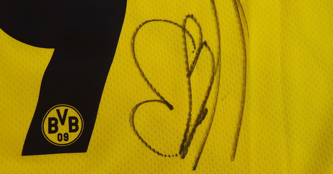 FH Haaland BVB   FH Haaland BVB