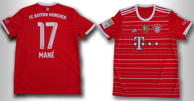 FH Mane Trikot   FH Mane Trikot