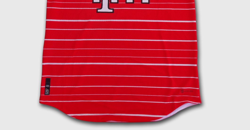 FH Trikot von Mane    FH Trikot von Mane