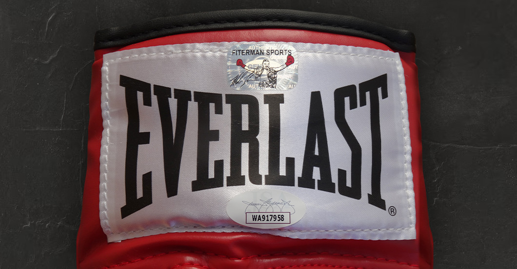 FH Tyson Boxhandschuh   FH Tyson Boxhandschuh