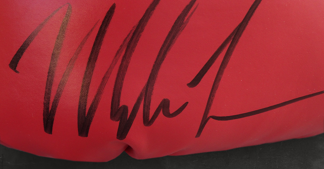 FH Tyson Boxhandschuh   FH Tyson Boxhandschuh