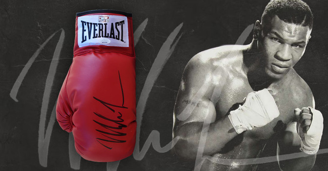 FH Tyson Boxhandschuh   FH Tyson Boxhandschuh