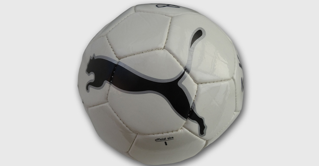  FH Weltmeister Handball 