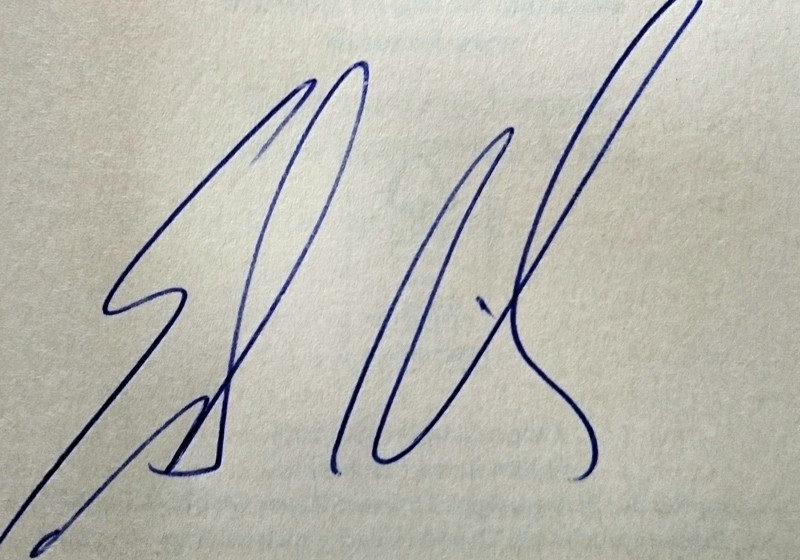  Fitzeks Die Therapie  