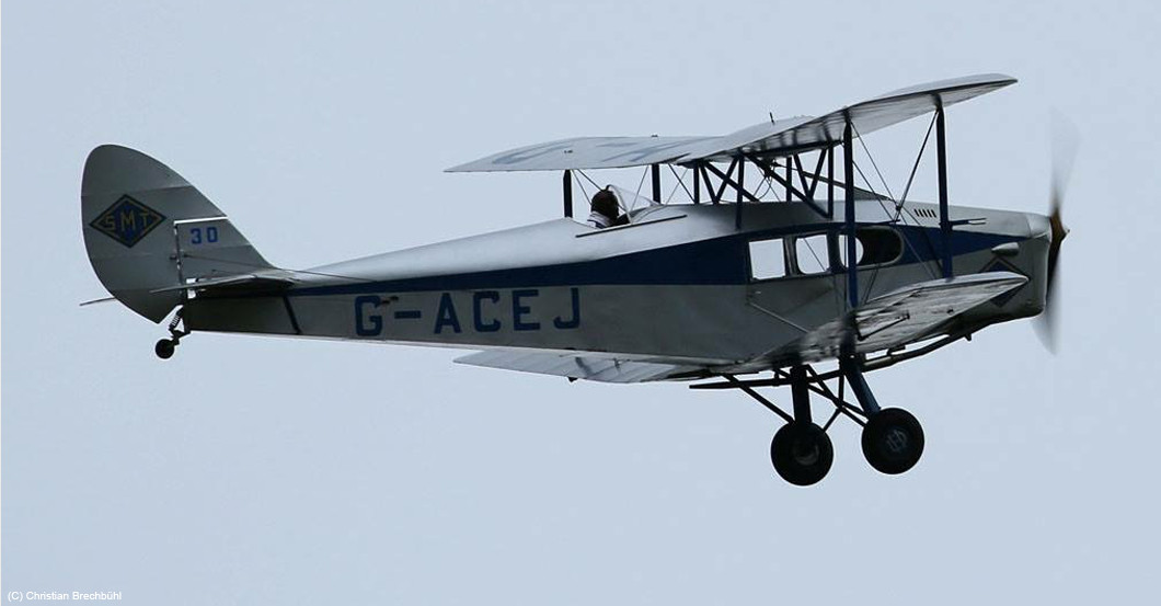 Flug Fox Moth   Flug Fox Moth