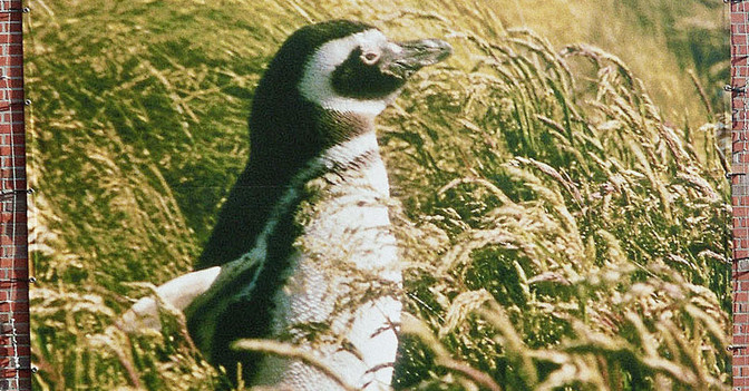  Foto Gute Aussichten 