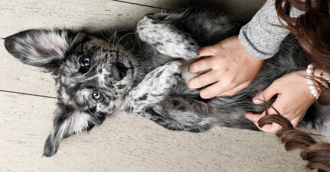 Fotoshooting exklusiv    Fotoshooting exklusiv