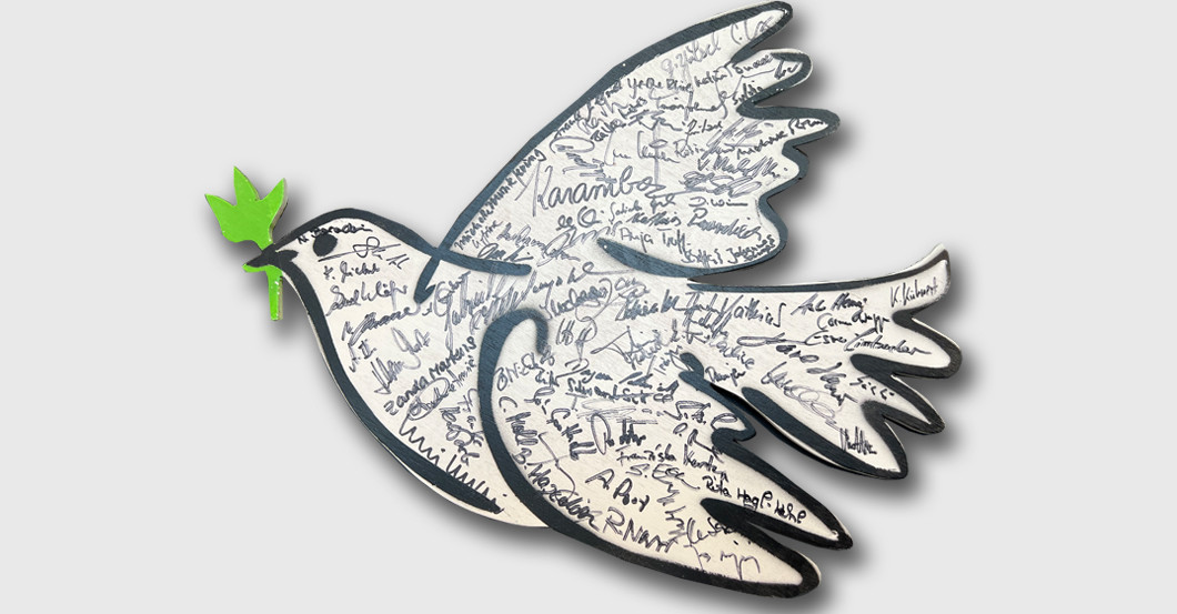  Friedenstaube Springwald 