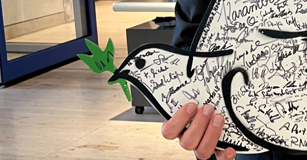  Friedenstaube Springwald 