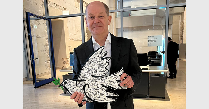 Friedenstaube Springwald   Friedenstaube Springwald