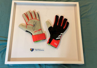  FsZ Neuer Handschuhe 