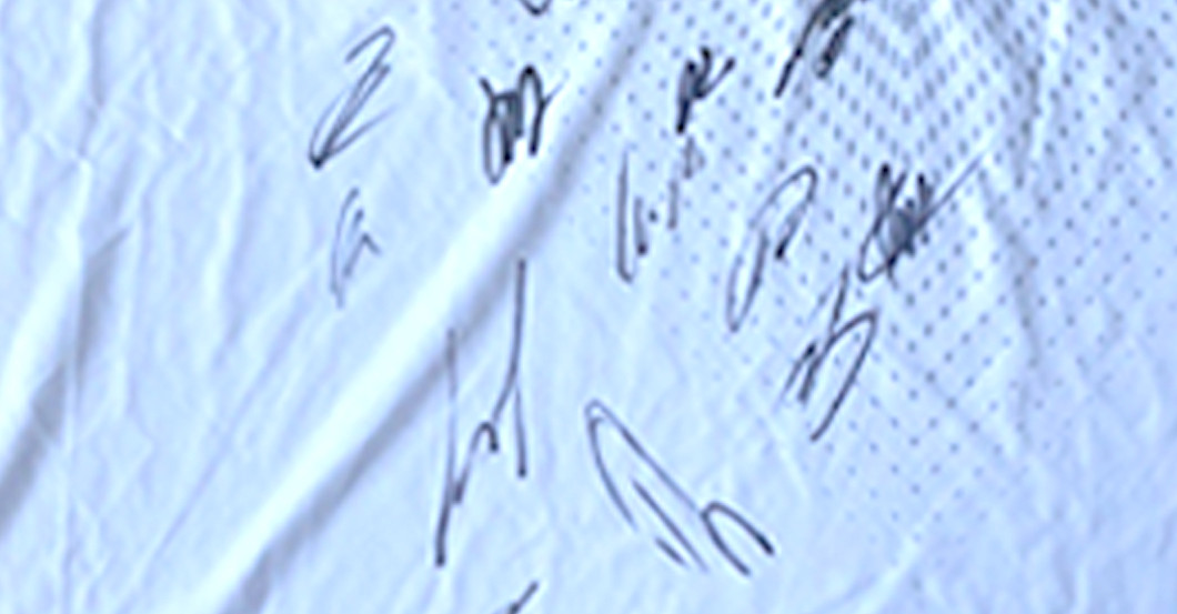 FsZ Werder Trikot Herren   FsZ Werder Trikot Herren