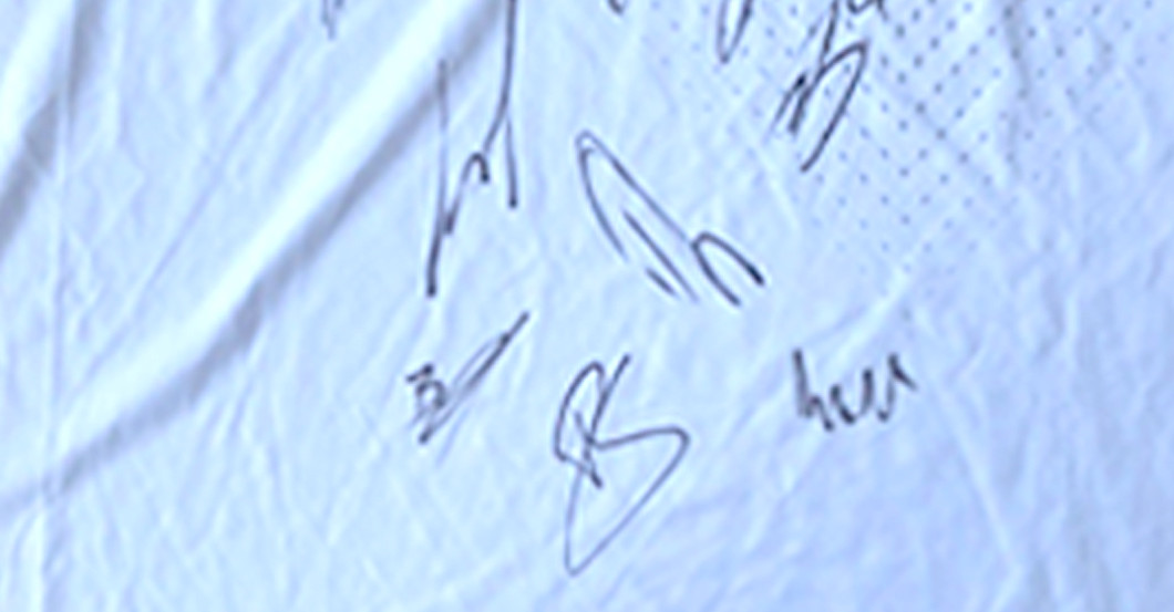 FsZ Werder Trikot Herren   FsZ Werder Trikot Herren