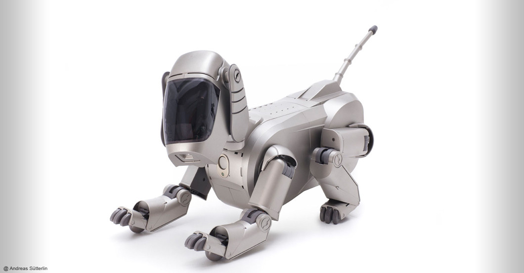  Führung Hello Robot 