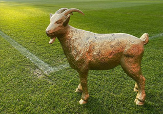  Geissbock gold FC Köln 